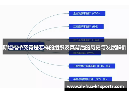 斯坦福桥究竟是怎样的组织及其背后的历史与发展解析 斯坦福桥究竟是怎样的组织及其背后的历史与发展解析