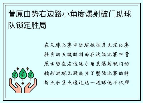 菅原由势右边路小角度爆射破门助球队锁定胜局 菅原由势右边路小角度爆射破门助球队锁定胜局